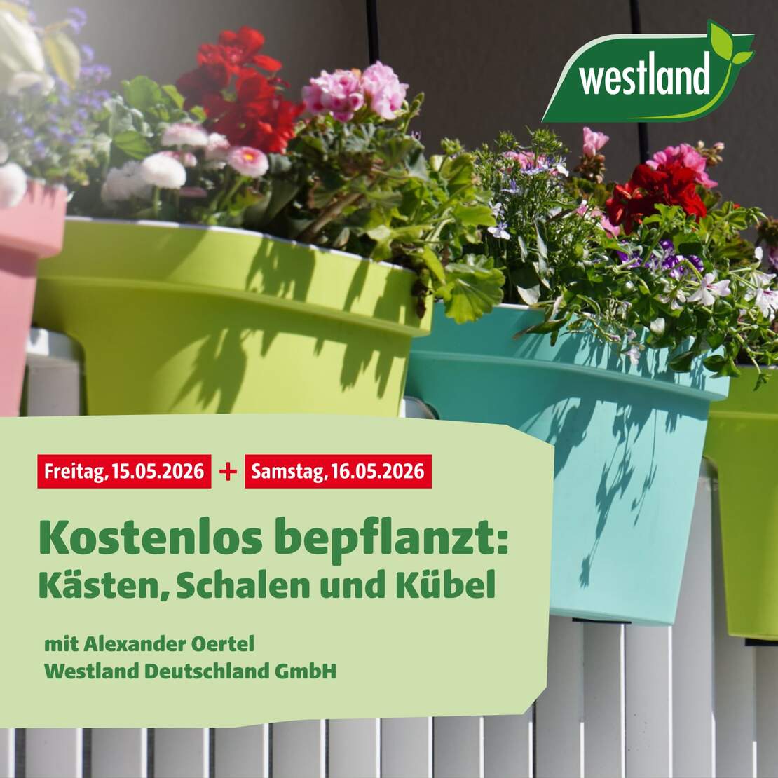 News-Bild