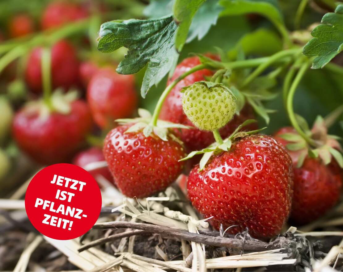 News-Bild