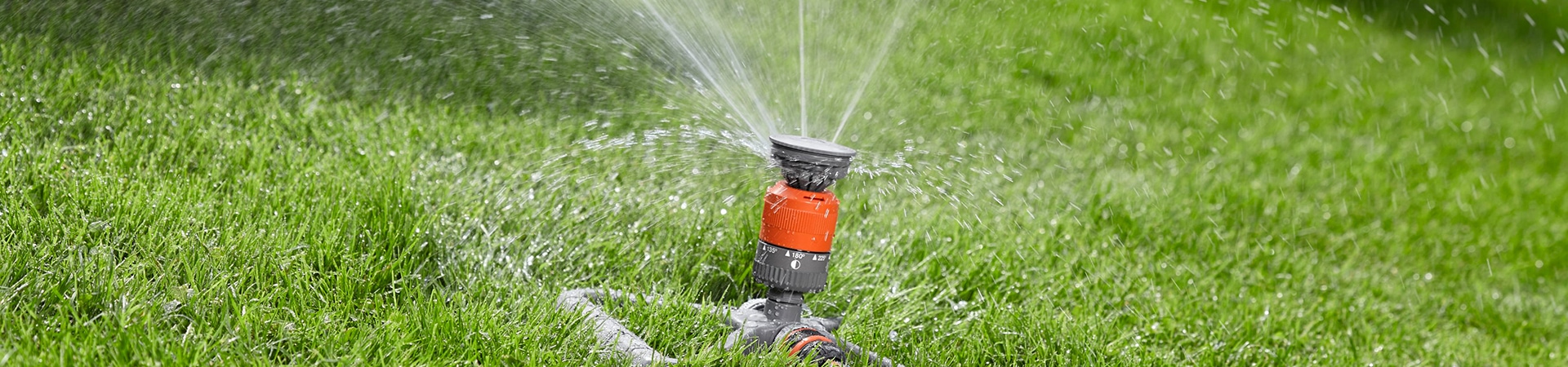 Rasen für den Garten im GARTENCENTER Gebr. Roth